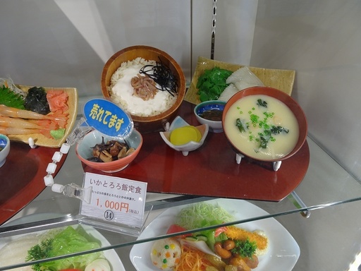 DSC02198.jpg